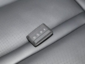 2023ԽҰ 2.0T  ܇耳