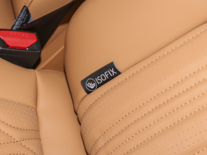 20233.0T ̄(w) 쾳 5 g