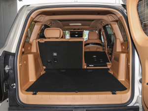 20233.0T ̄հ 쾳 5 g