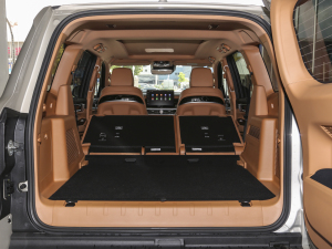 20233.0T ̄հ 쾳 5 g