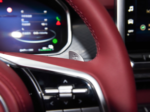 2024Hi4-T װl(f)޶ п؅^(q)