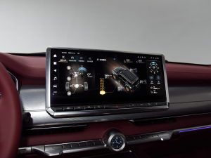 2024Hi4-T װl(f)޶ п؅^(q)