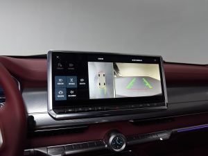 2024Hi4-T װl(f)޶ п؅^(q)