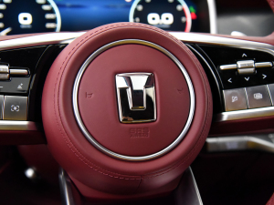 2024Hi4-T O п؅^(q)