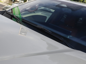 2024Hi4-T ʿ (x)(ji)^