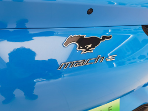 2021GT First Edition (x)(ji)^