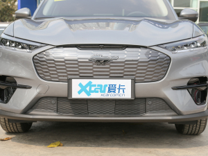 2021款跃世后驱版（标准续航） 中网