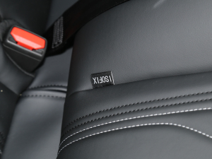 2021S(q)棨(bio)(zhn)m(x) g