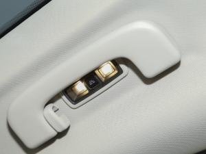 2021S(q)棨(bio)(zhn)m(x) п؅^(q)