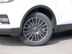 2021款1.5T 自动优悦版 7座 轮圈