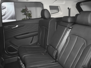 20211.5T քӃ(yu) 7 g