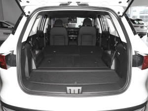 20211.5T քӃ(yu) 7 g