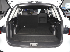 20211.5T քӃ(yu) 7 g