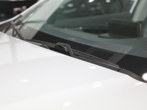 20211.5T քӾӢ 5 ˢ