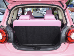 2021��31.45kWh ��������g