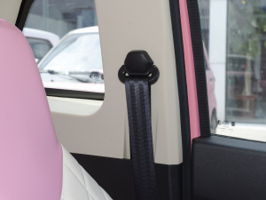 2021��31.45kWh ���g����