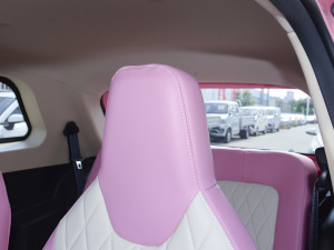 2021��31.45kWh ���g����