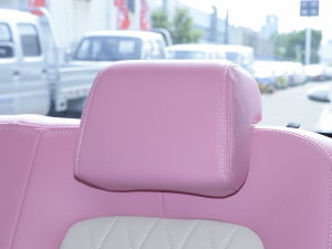 2021��31.45kWh ���g����