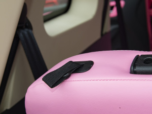 2021��31.45kWh ���g����