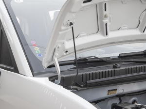 202215kWh  (bio)(zhn) 