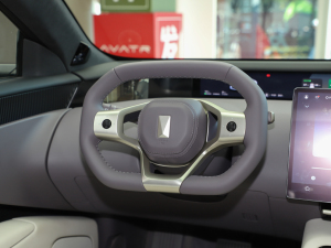 2023650 (q)ܰ п؅^(q)