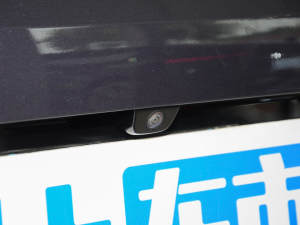 2024700 (q) (x)(ji)^