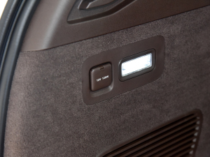 20241.5T Plus 5 п؅^