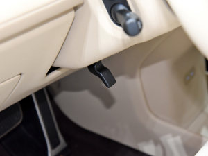 20241.5T Plus 5 п؅^