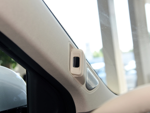 20241.5T Plus 5 п؅^