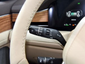 20241.5T Plus 5 п؅^