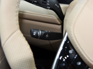 20241.5T Plus 5 п؅^