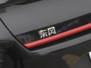 2022款PRO 虎曜版进阶型 细节外观
