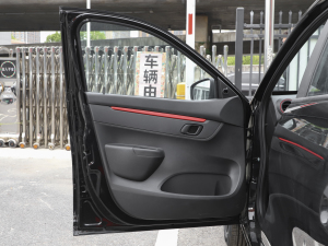 2022款PRO 虎曜版进阶型 驾驶位车门