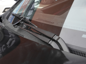 2022PRO װ(bio)(zhn) ˢ