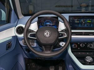 2022款追风版 351KM 进阶型 方向盘