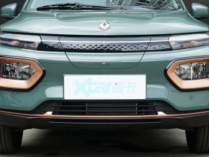2022款冠军款 轻风版 201KM 标准型 中网