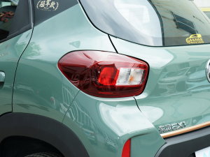 2022款冠军款 轻风版 201KM 标准型 尾灯