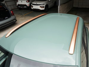 2022܊ pL(fng) 201KM (bio)(zhn) ܇