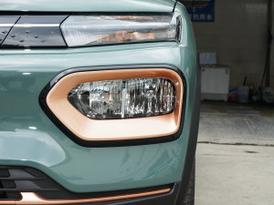 2022܊ pL(fng) 201KM (bio)(zhn) (x)(ji)^