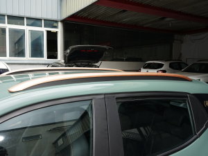 2022܊ pL(fng) 201KM (bio)(zhn) (x)(ji)^