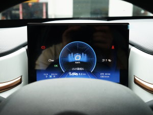 2022款冠军款 轻风版 201KM 标准型 仪表