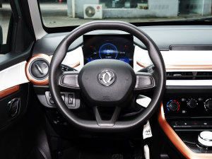 2022款冠军款 轻风版 201KM 标准型 方向盘