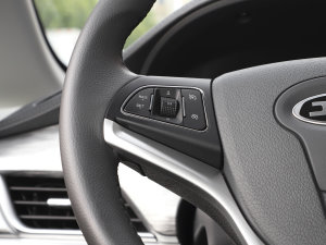 2023PLUS 1.5T 9 п؅^