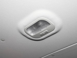 2023PLUS 1.5T 7(lin) п؅^(q)