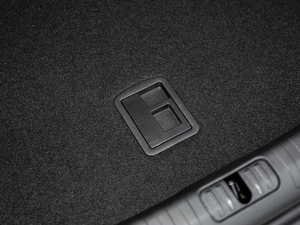 201945TFSI quattro Ӹ g