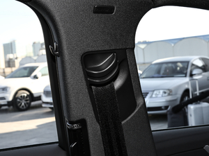 201945TFSI quattro (dng) g