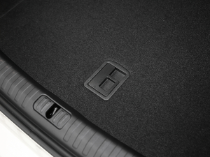 201945TFSI quattro x g