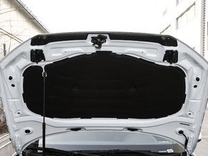 2019Sportback 35 TFSIr V 