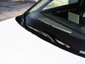 2019Sportback 35 TFSIL(fng) (gu)VI ˢ