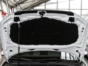 2019Sportback 40 TFSI\ VI 